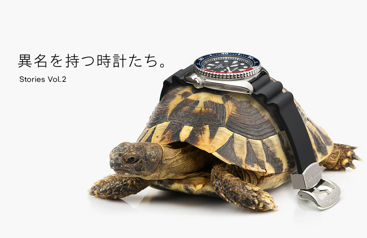Seiko Prospex Automatic 200M Diver Black-Gold JDM Turtle SRPD46 – WATCH OUTZ